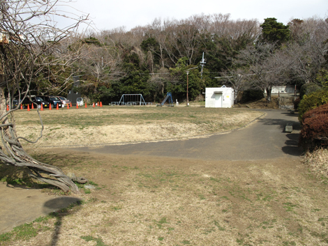 20180223hike (12)